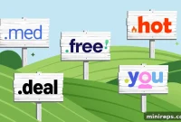 New gTLDs Revisited: Their Journey So Far