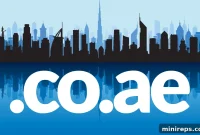 Dual .co.ae and .ae Domains to Protect UAE Brands by 101domain